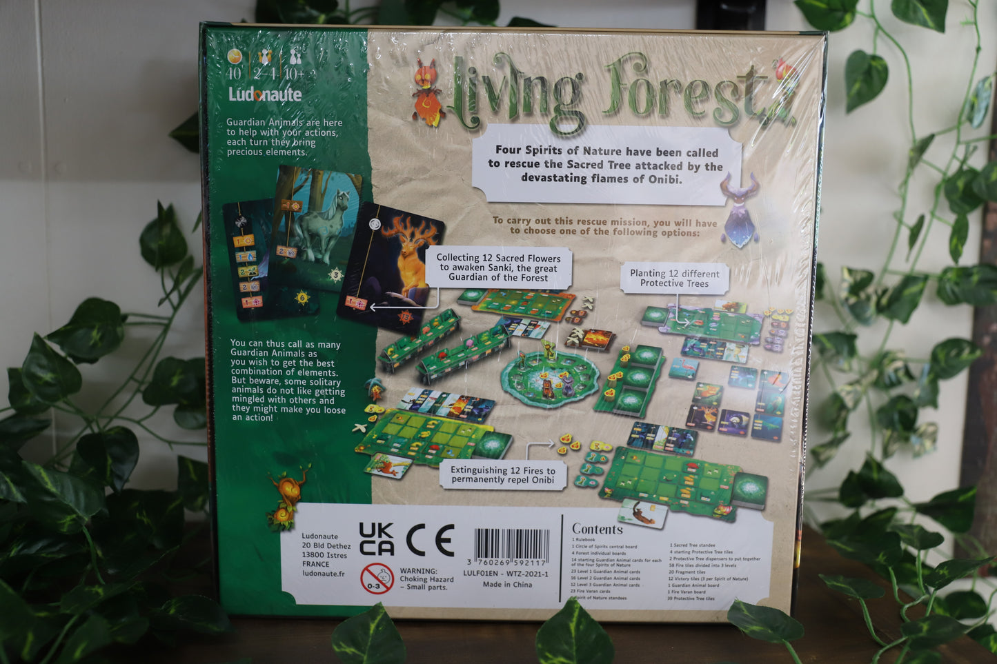Living Forest