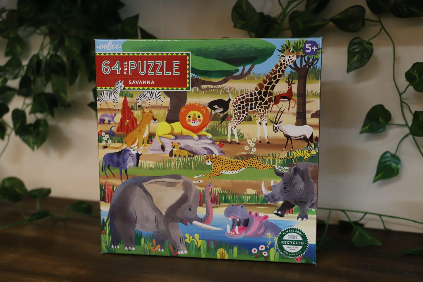 Savanna 64pc