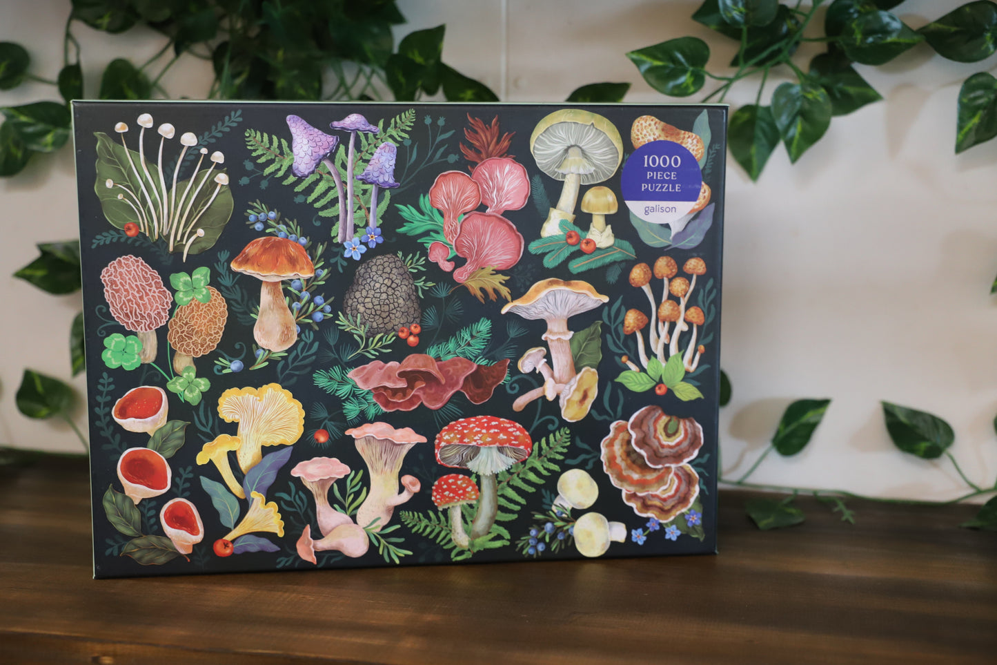 World Of Mushrooms 1000pc