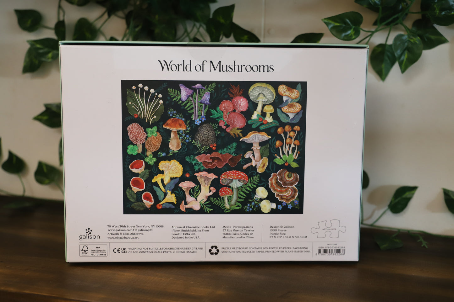 World Of Mushrooms 1000pc