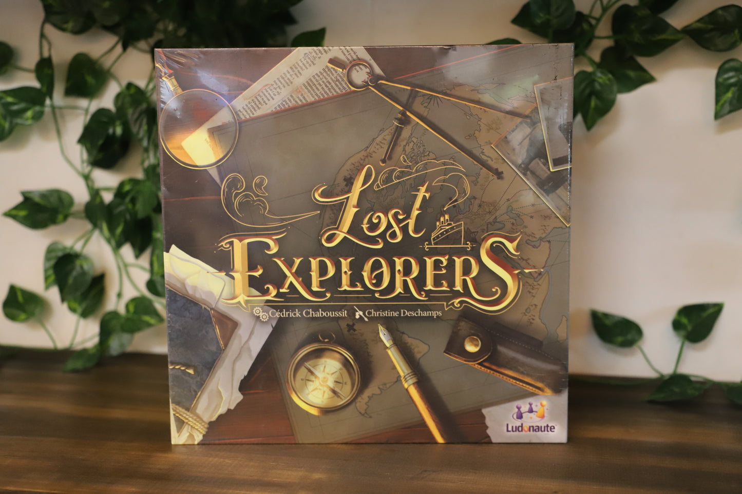 Lost Explorers
