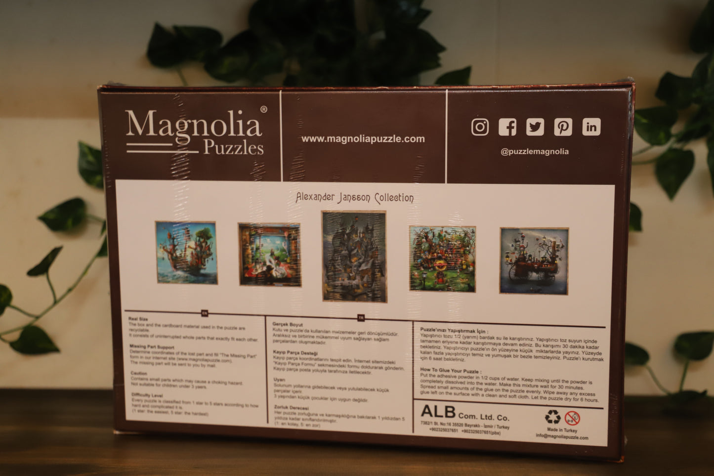 Grandma's Desk 1023pc