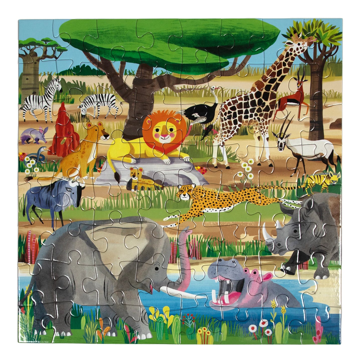 Savanna 64pc