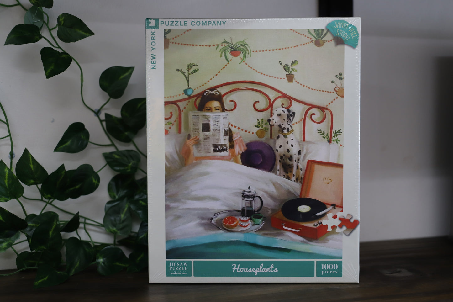 Houseplants 1000 Pc