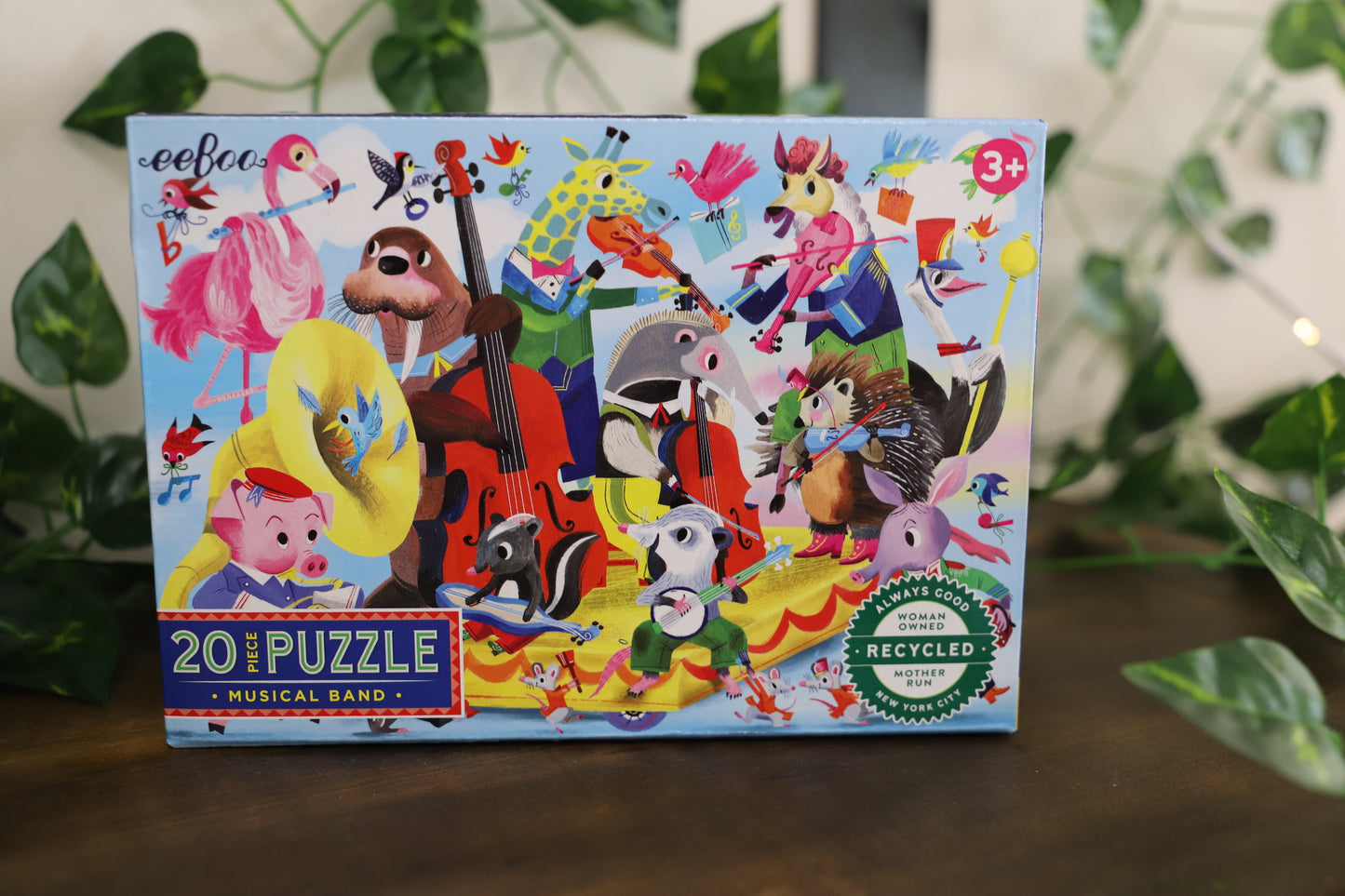 Musical Band 20pc
