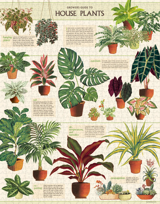 House Plants 1000pc