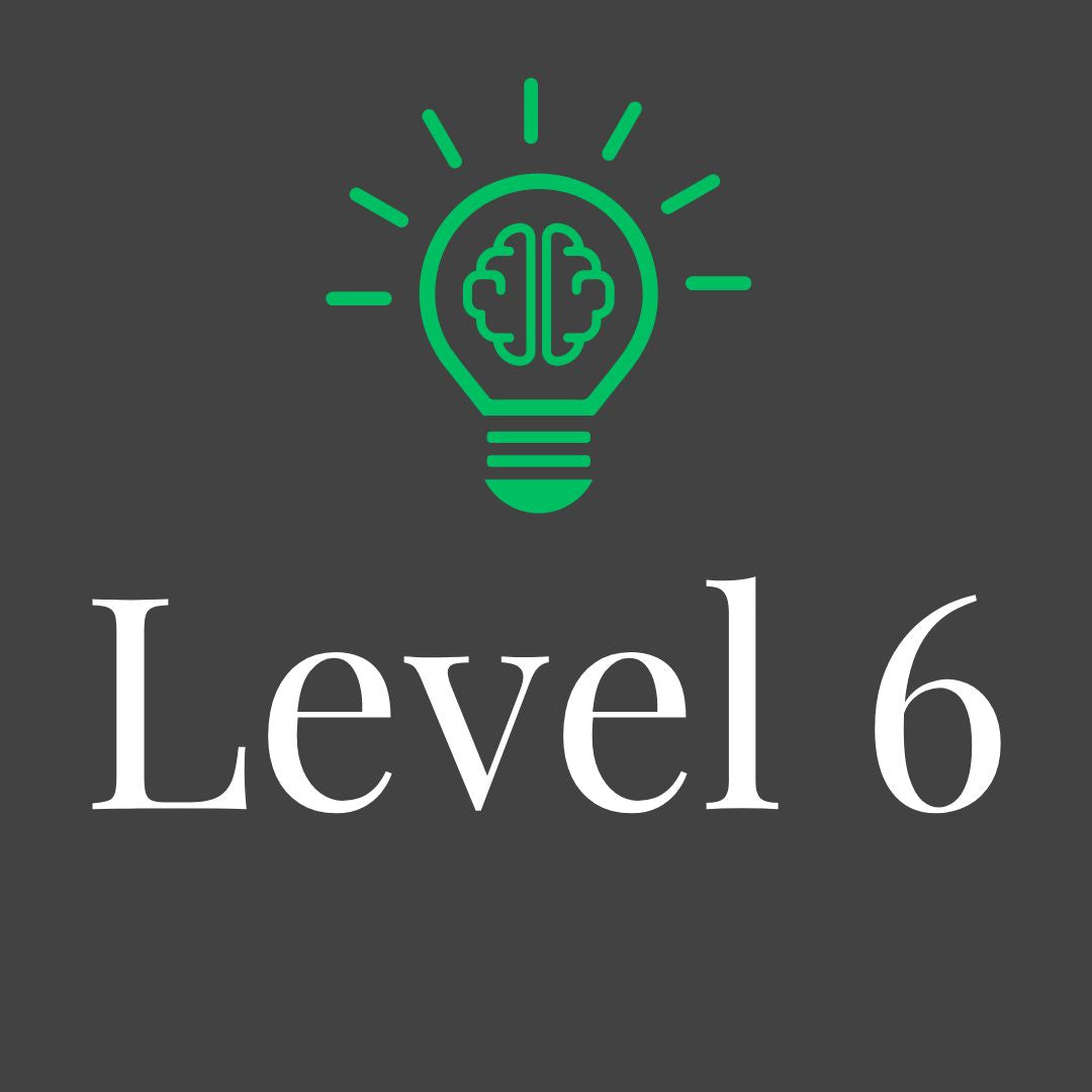Level 6