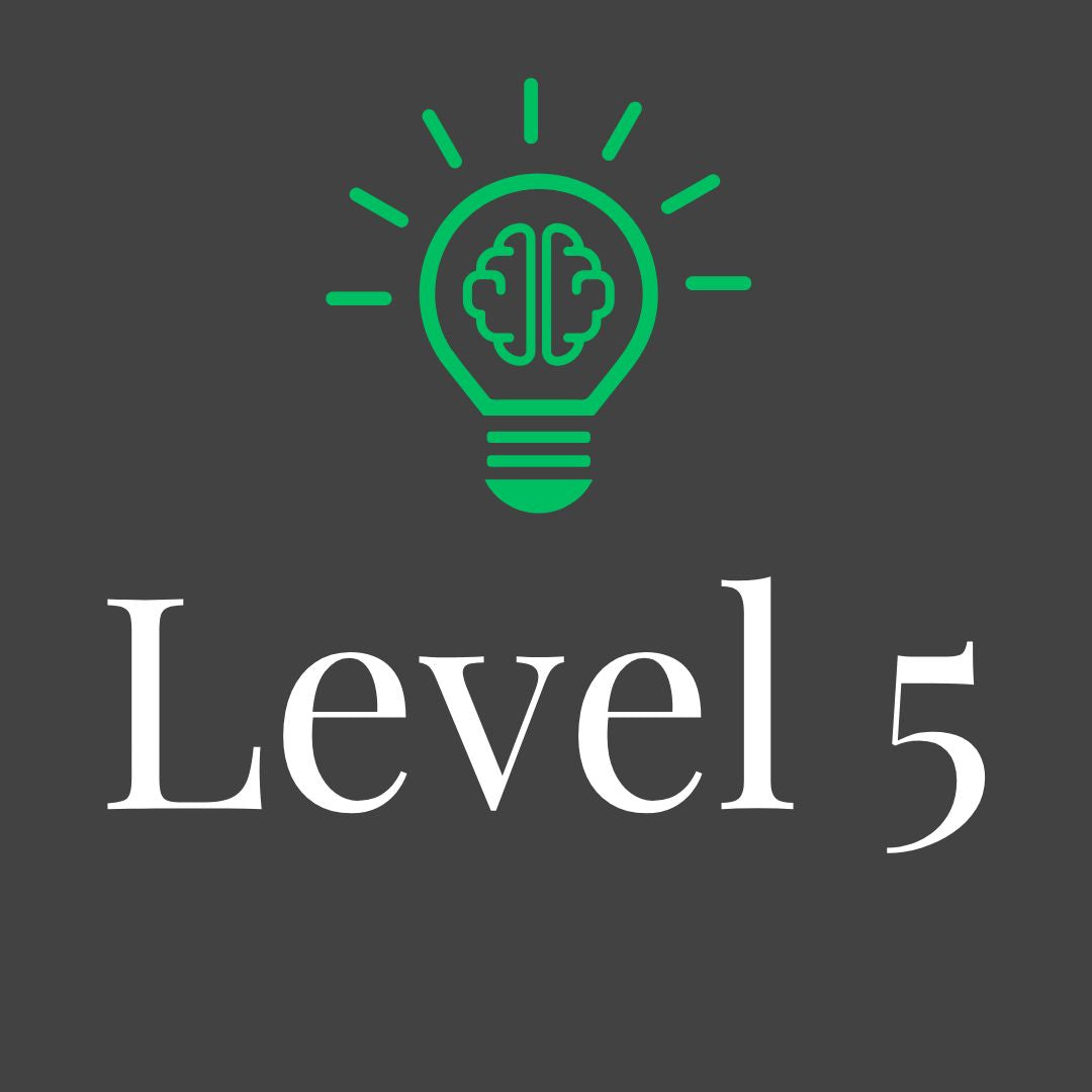 Level 5
