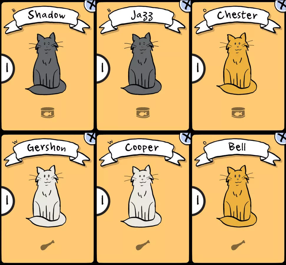 Cat Lady