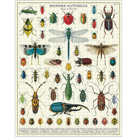 Bugs & Insects by Cavallini & Co. 1000pc