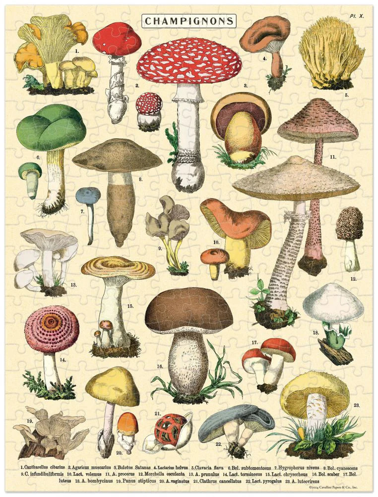 Mushrooms 240pc