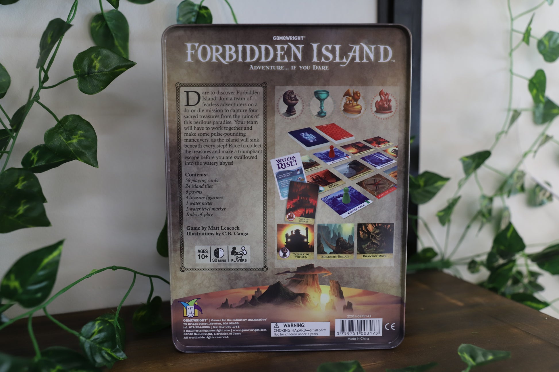 Board Game Lifestyle Forbidden Island Nantong Board games