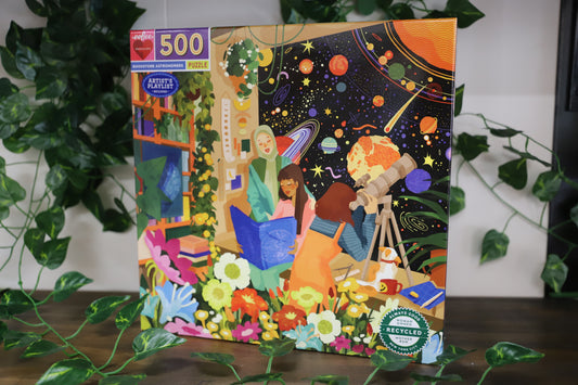 Bookstore Astronomers by Eeboo 500pc