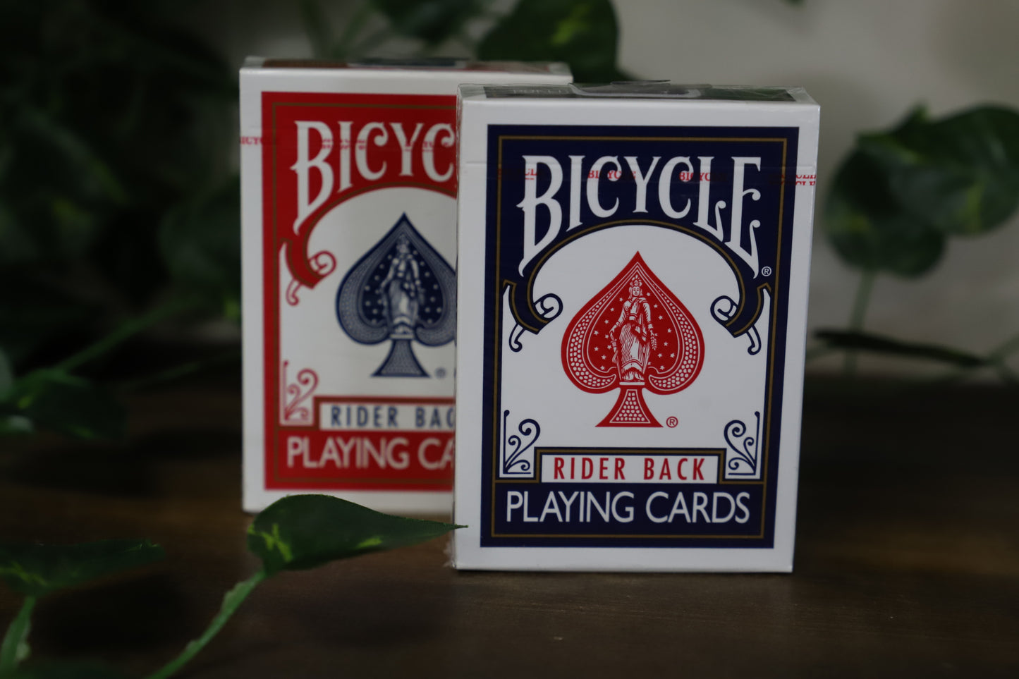 Rider Back Playing Cards