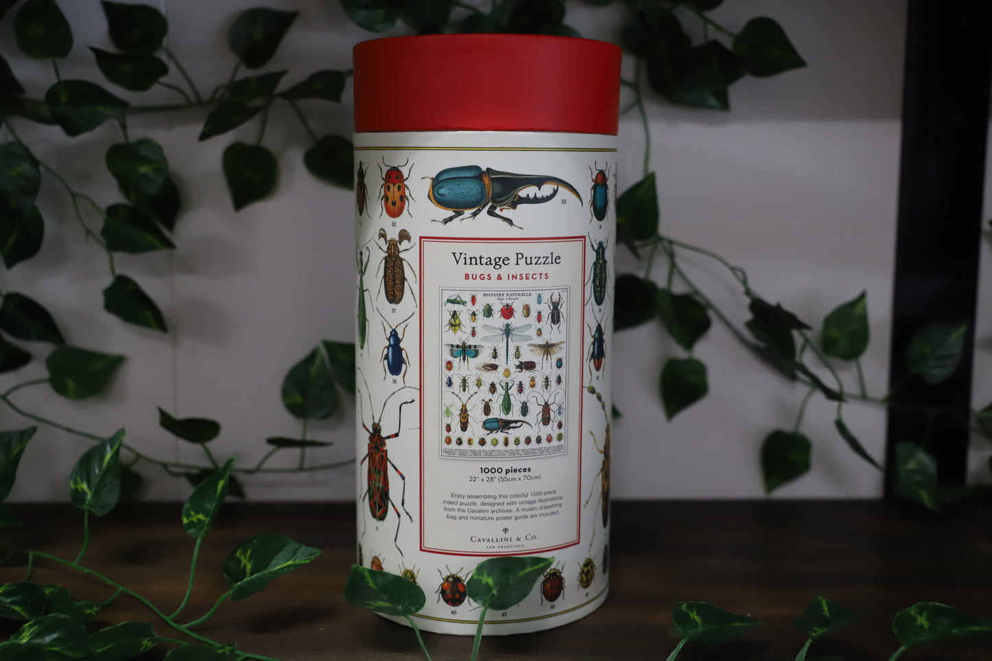 Bugs & Insects 1000pc