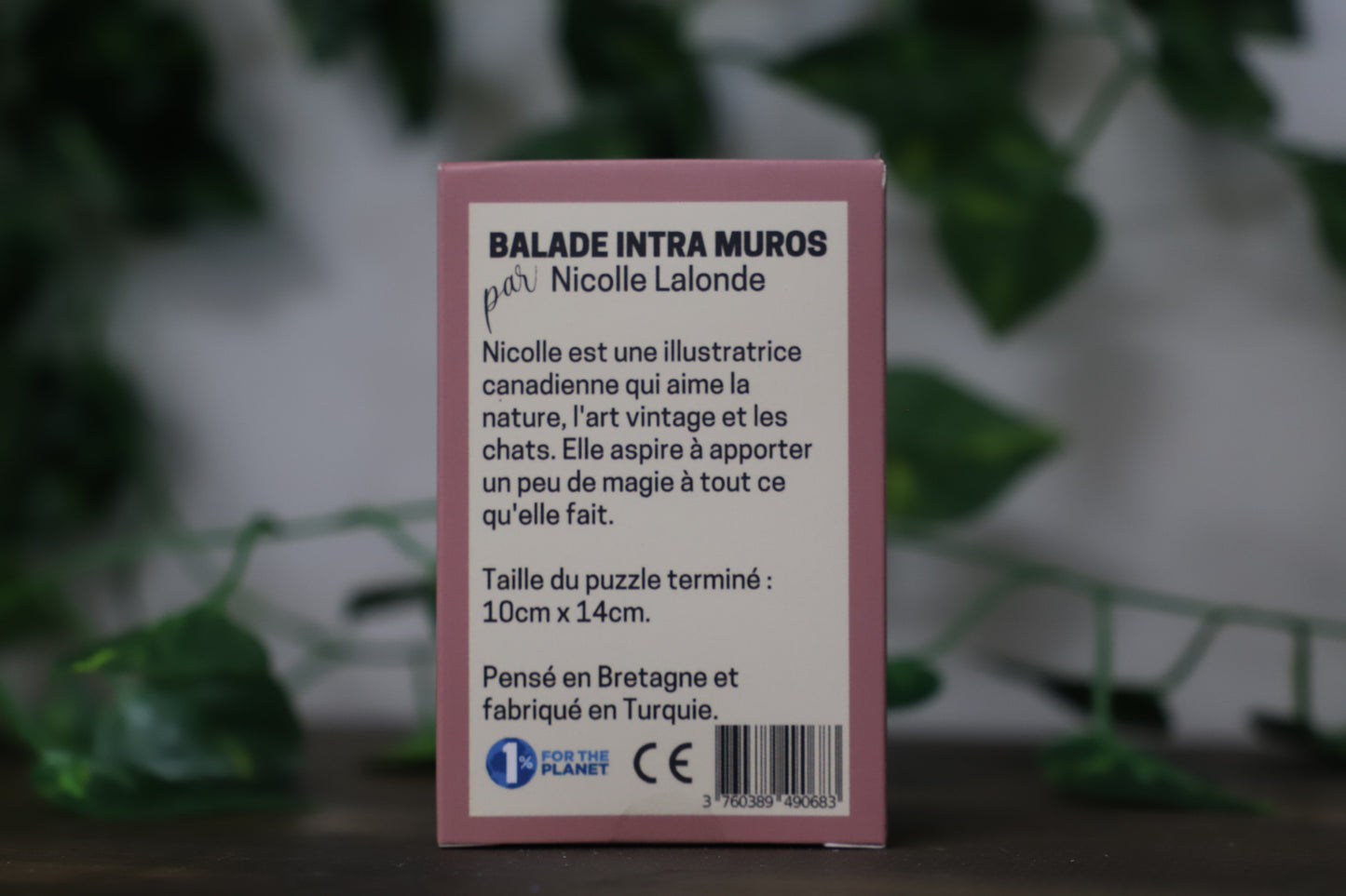 Balade Intra Muros 99pc