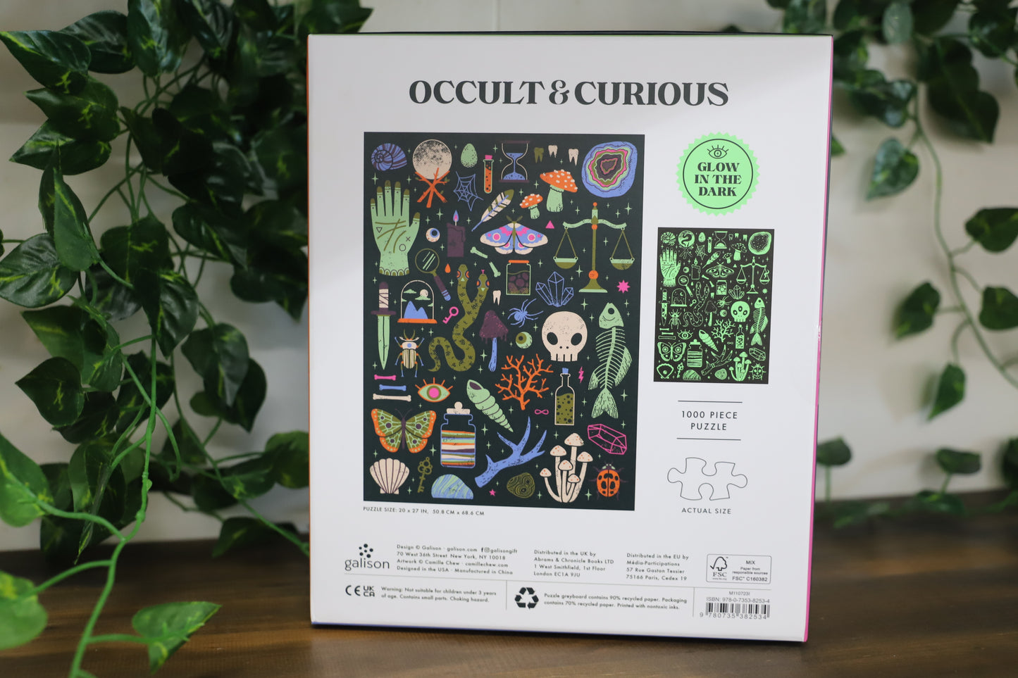 Occult And Curious 1000pc