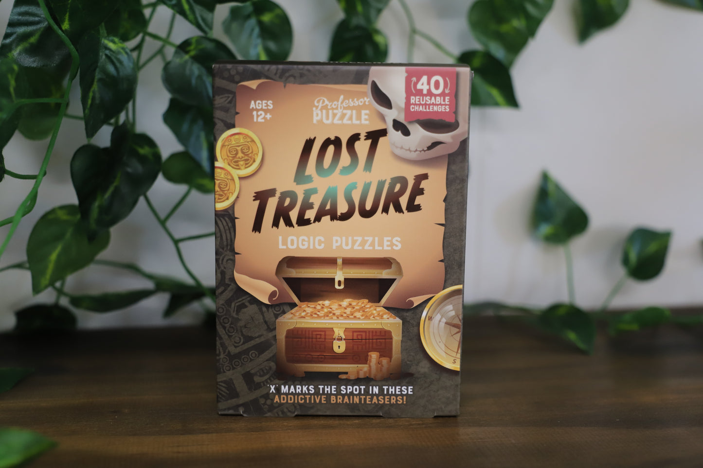 Lost Treasure: Logic Puzzles