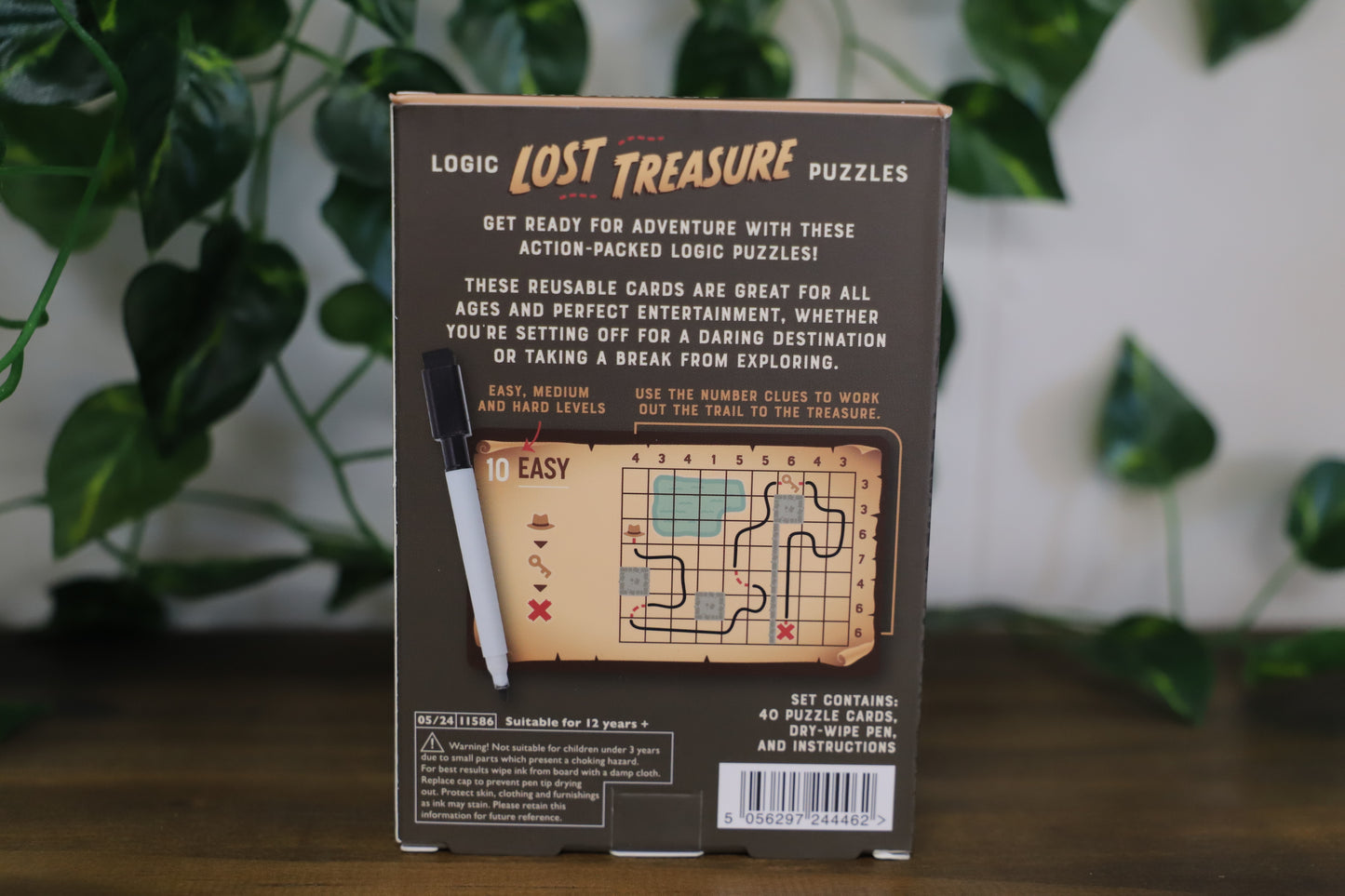 Lost Treasure: Logic Puzzles