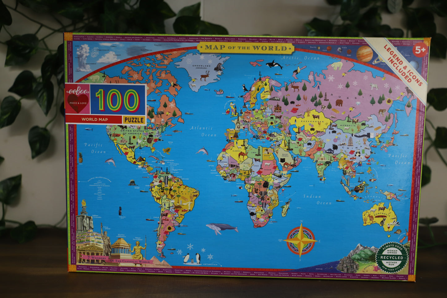 World Map 100pc