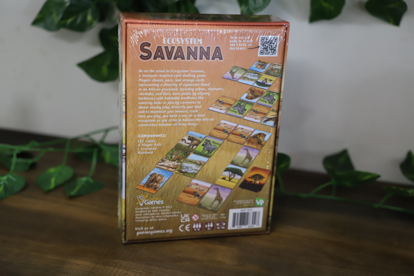 Ecosystem: Savanna