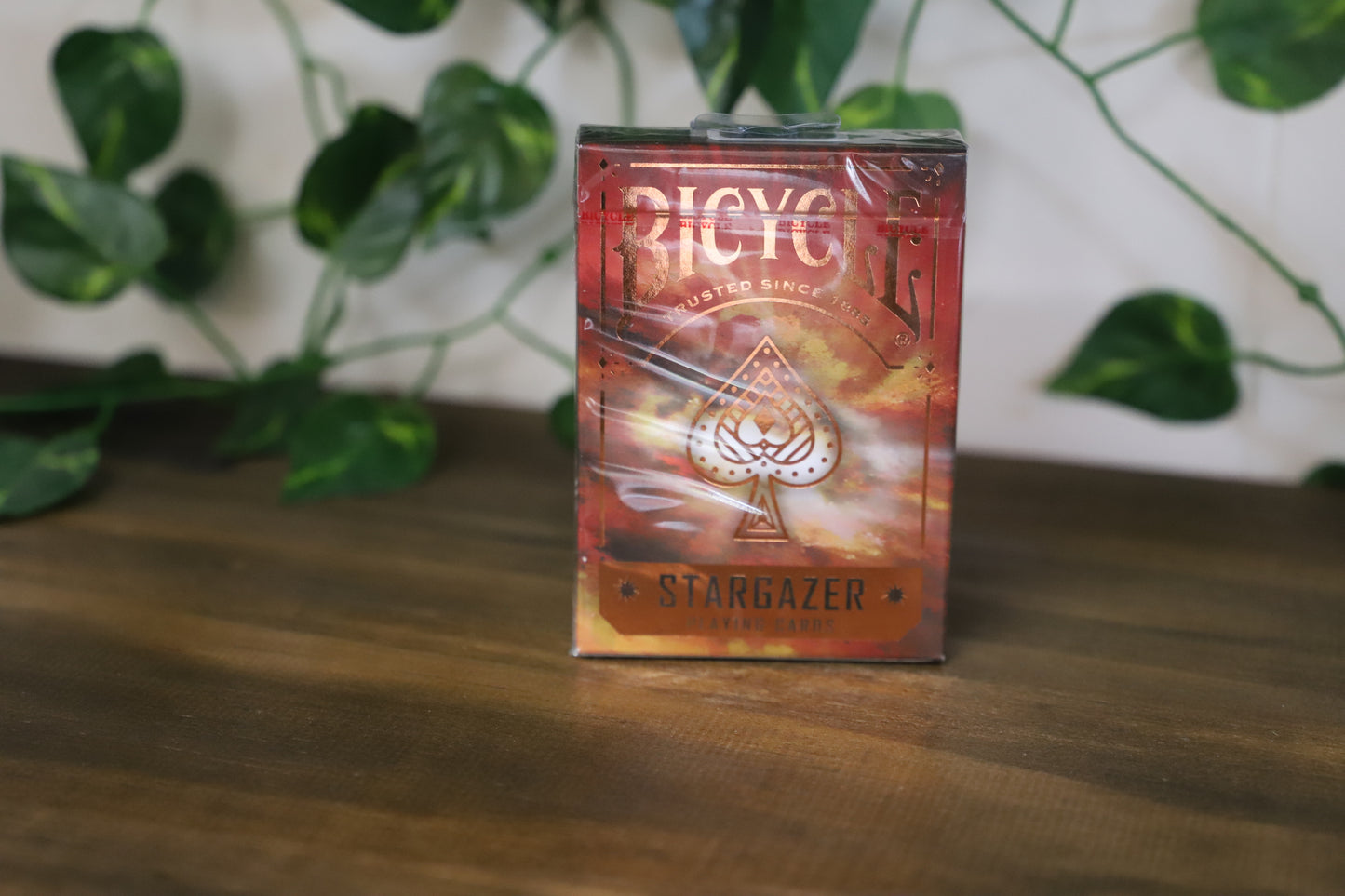 Stargazer 202 Playing Cards