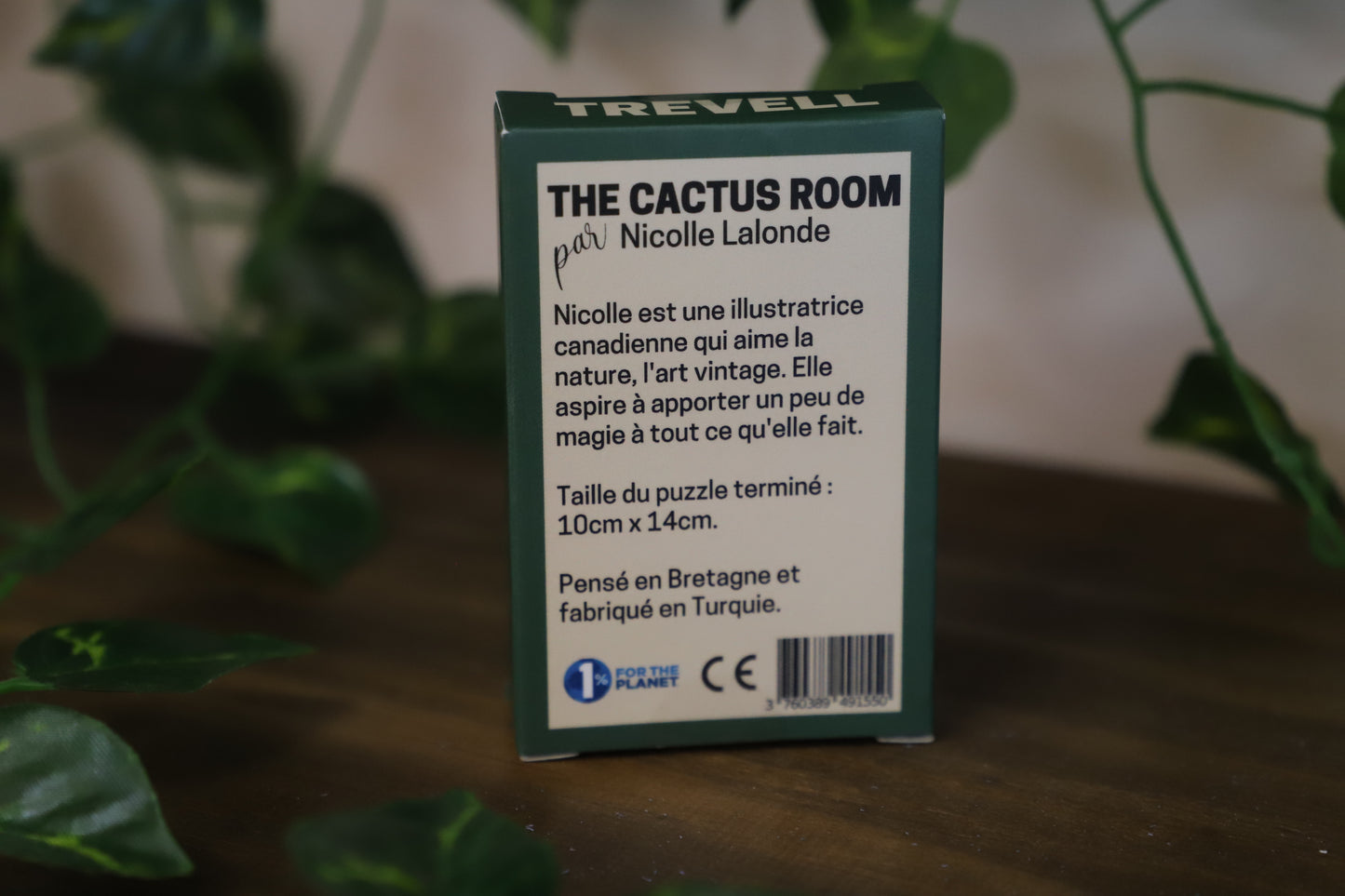 The Cactus Room 99pc