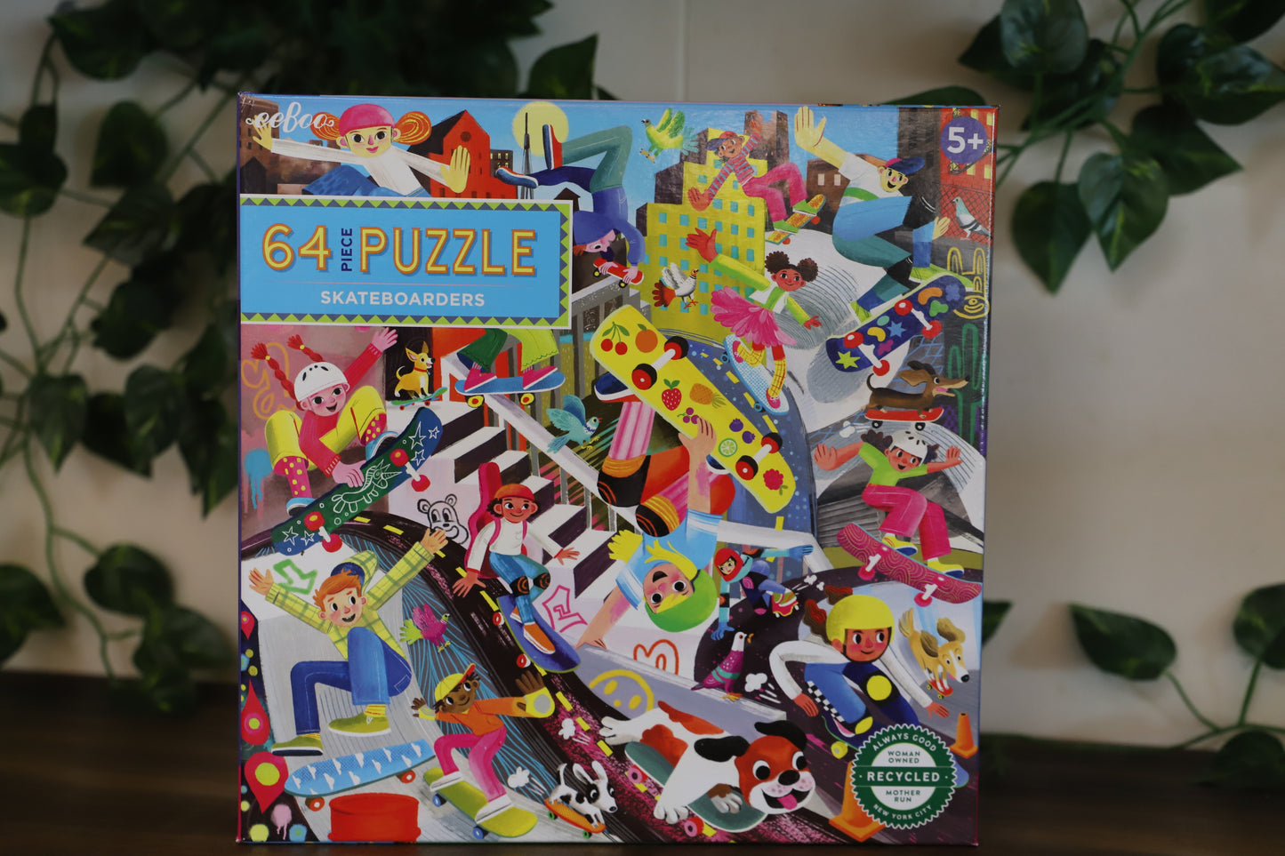 Skateboarders 64pc