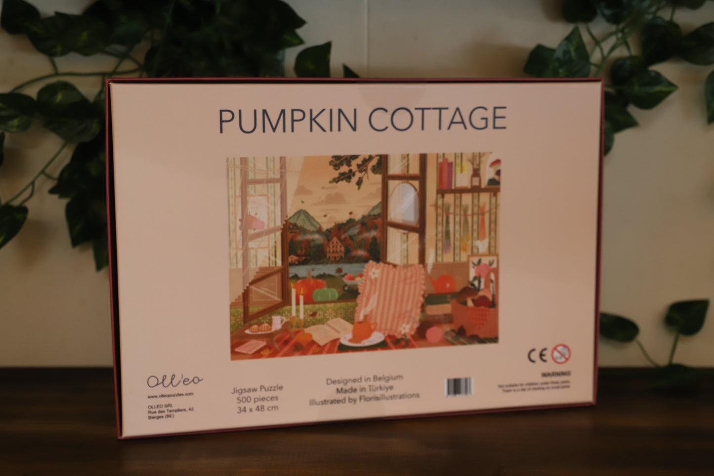 Pumpkin Cottage 500pc