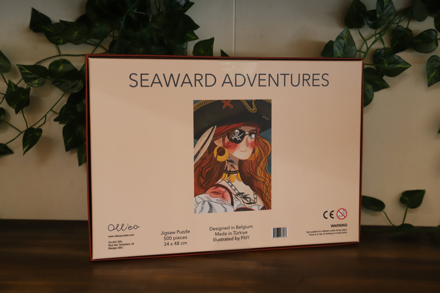 Seaward Adventures 500pc