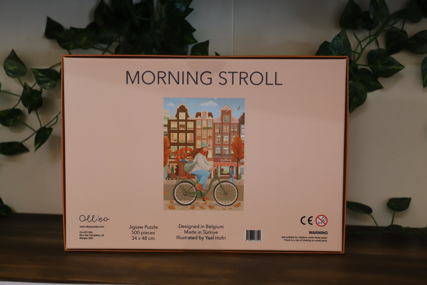 Morning Stroll 500pc
