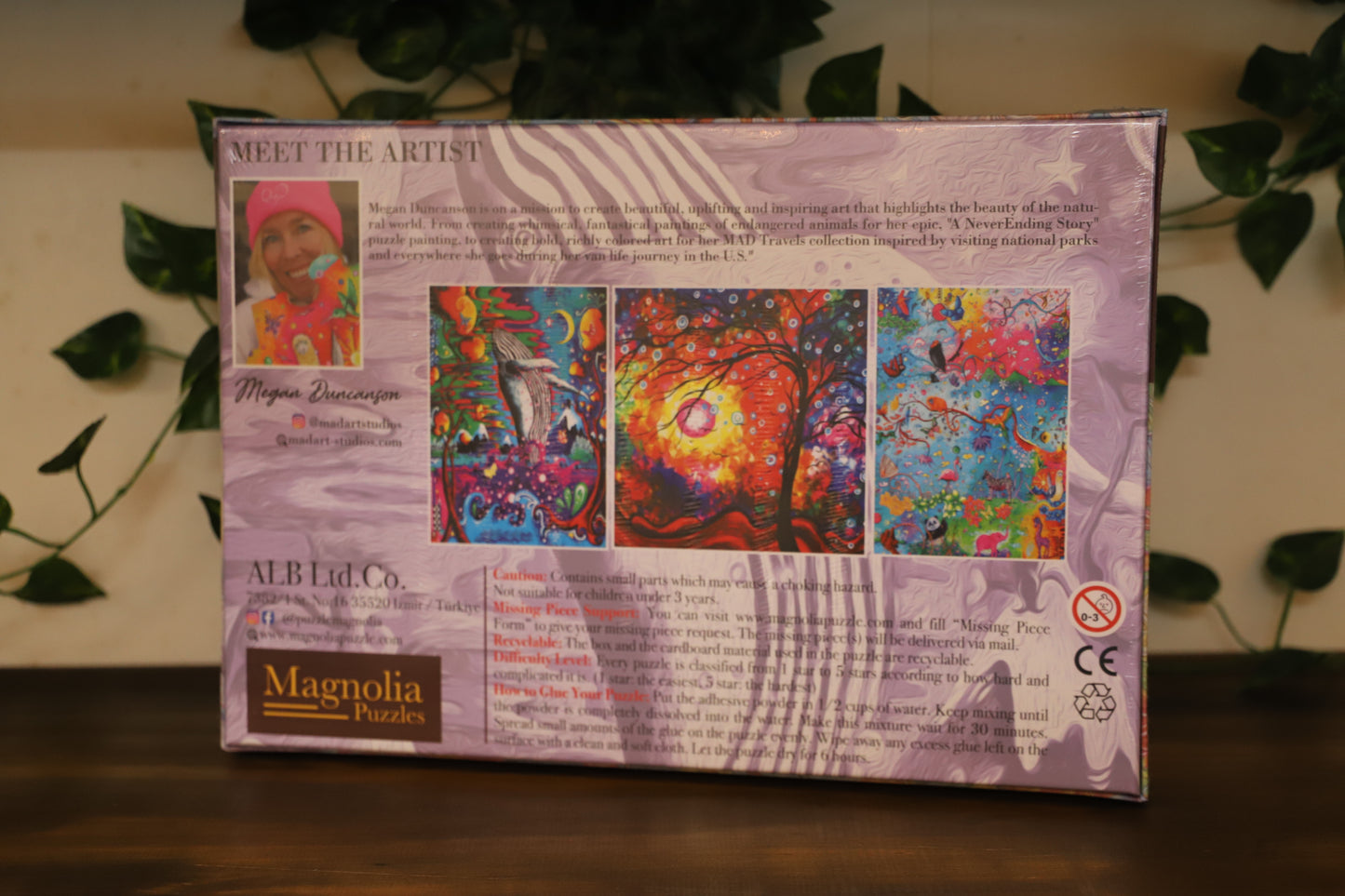 A Never Ending Story 1000pc