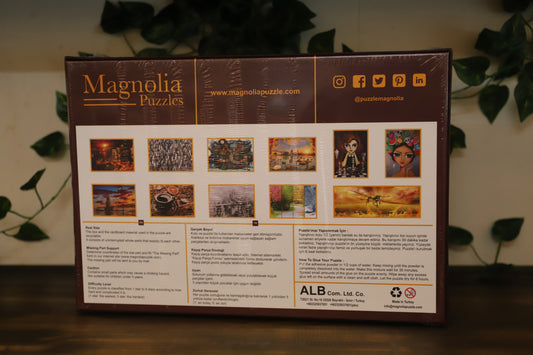 Butterfly Balloon 1000pc