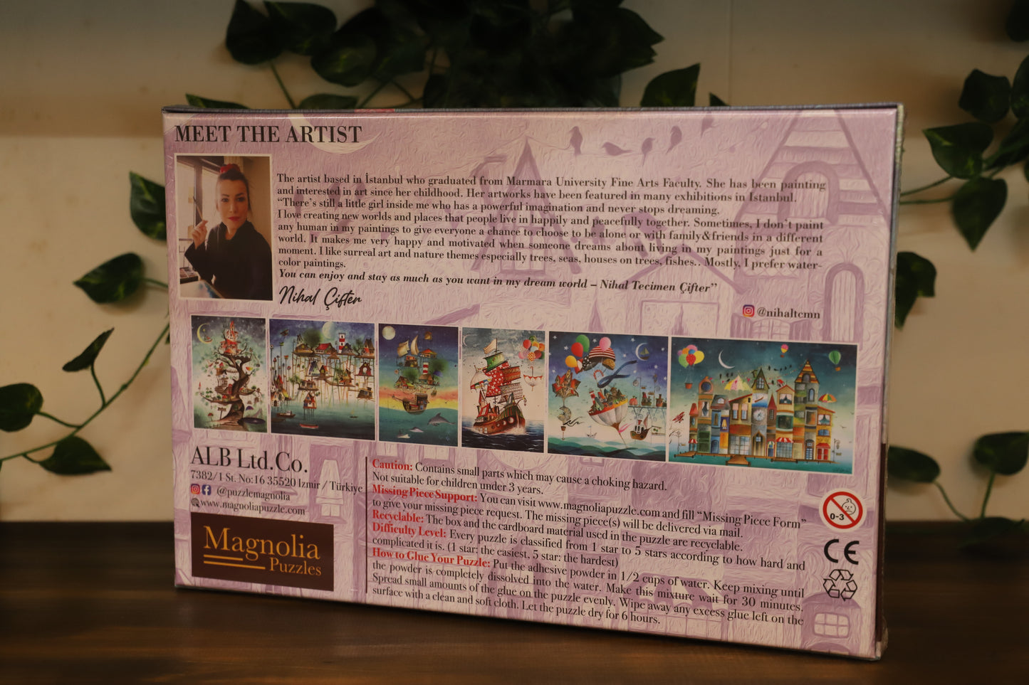 Houses I Read 1000pc