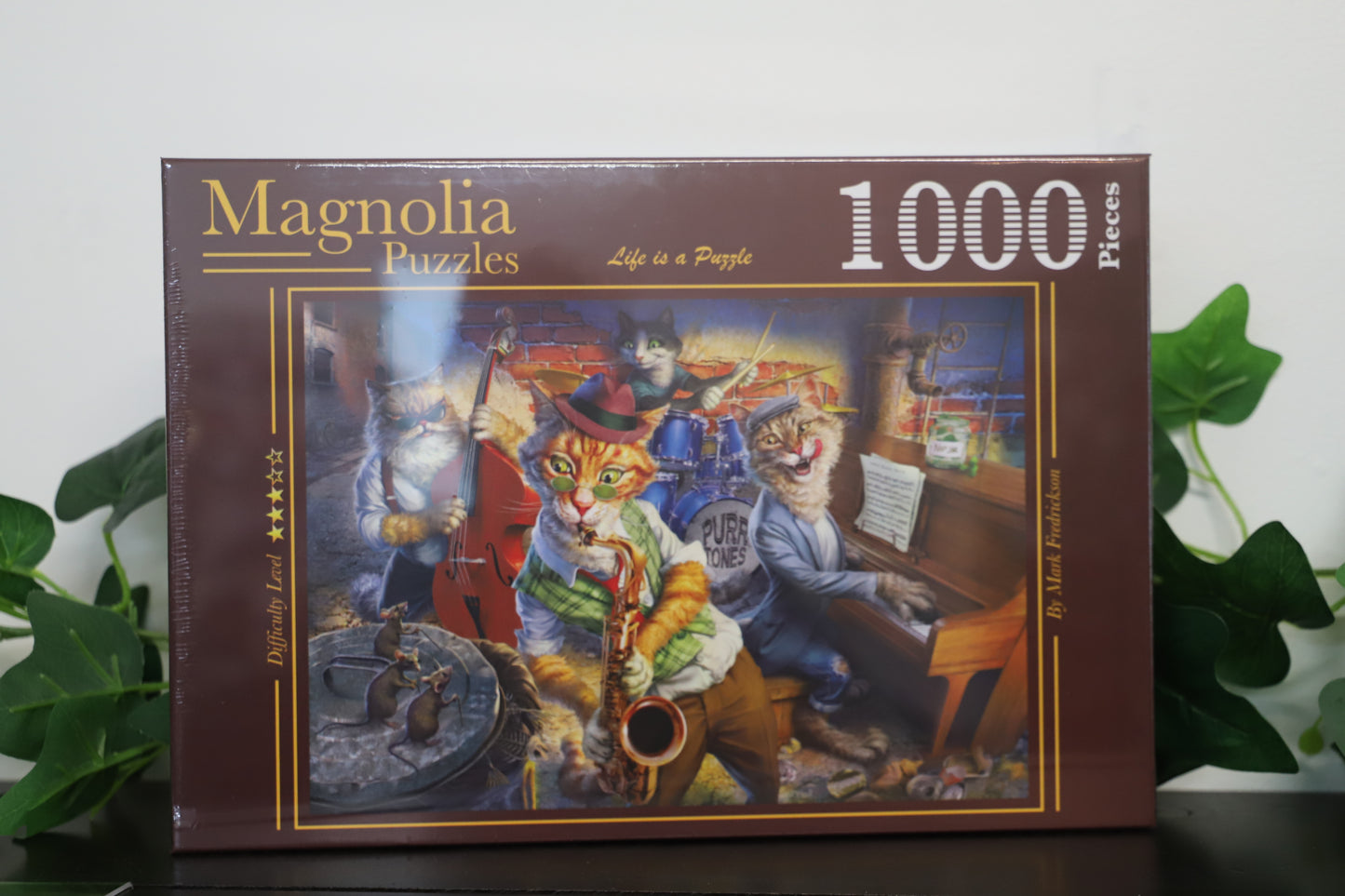 Groupies At Risk 1000pc