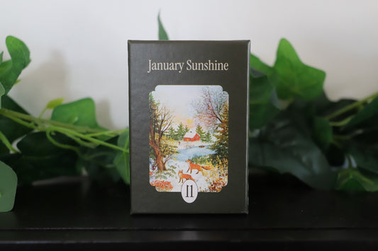 January Sunshine Mini Puzzle – La Pauz – 99 pieces