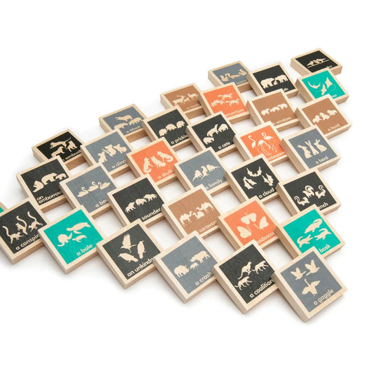 Collective Noun Chips