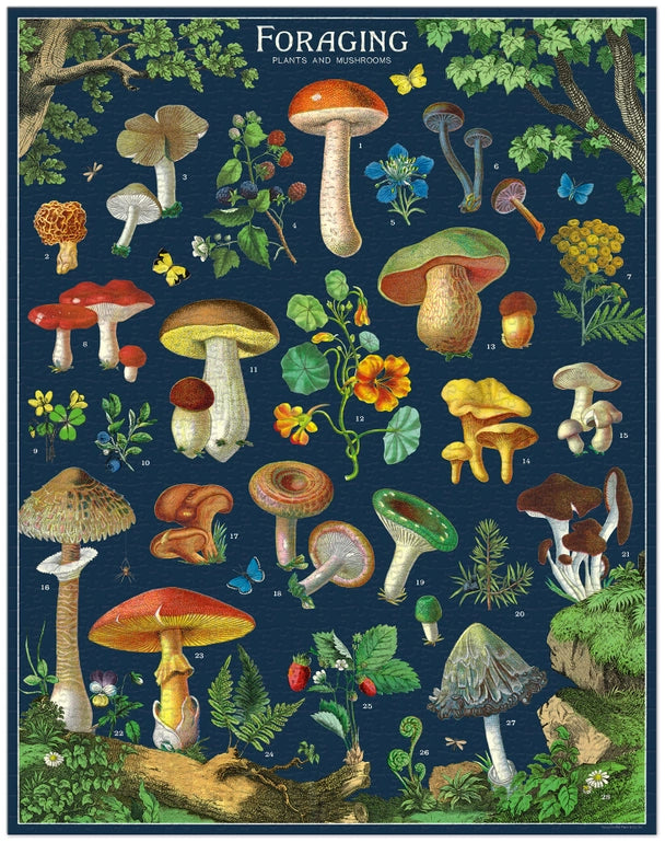Foraging 1000pc