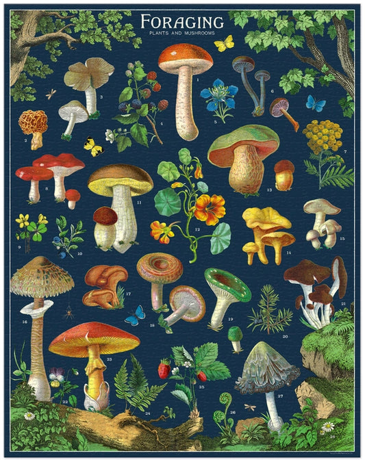 Foraging 1000pc