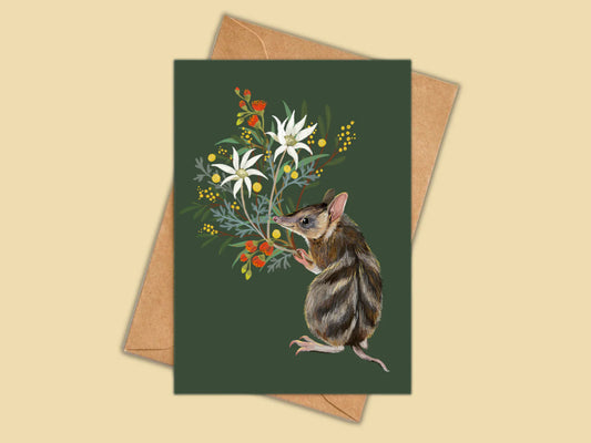 Bandicoot Greeting Card
