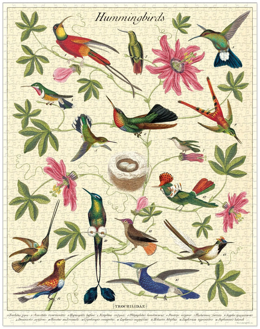 Hummingbird by Cavallini & Co 1000pc