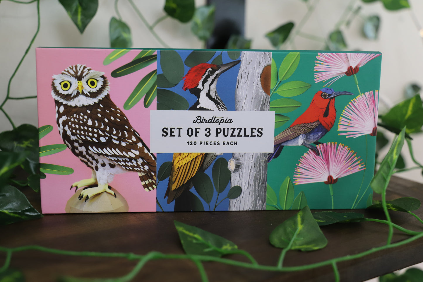 Birdtopia 3pk Of 120pc