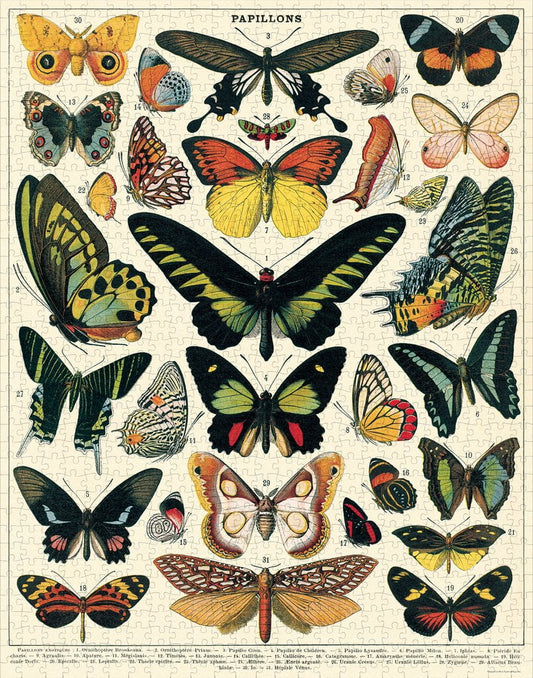 Butterflies by Cavallini & Co 1000pc