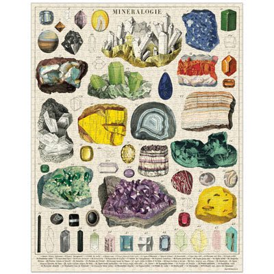 Mineralogy by Cavallini & Co 1000pc