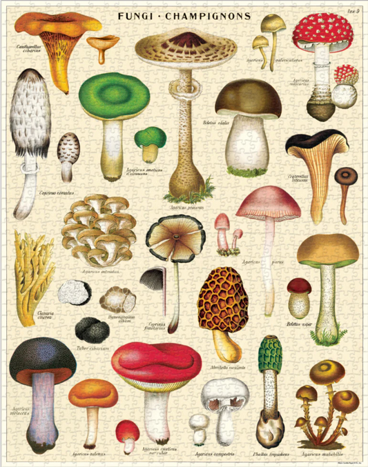 Mushrooms by Cavallini & Co 1000pc