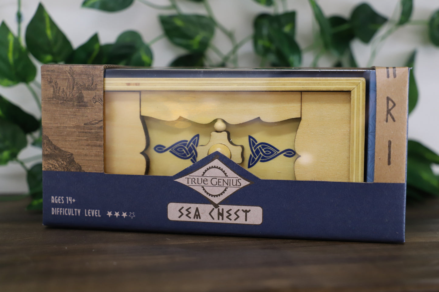 Sea Chest by Project Genius